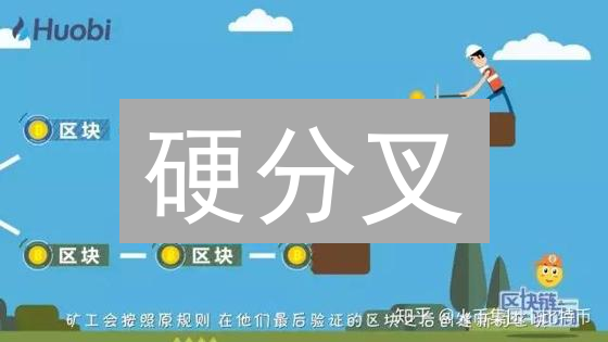 硬分叉：加密货币世界的“离婚”，谁能笑到最后？ (附资产管理指南)
