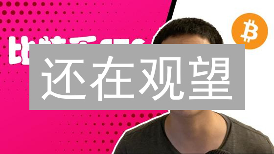 还在观望？深度解读比特币支持者，揭秘财富密码！