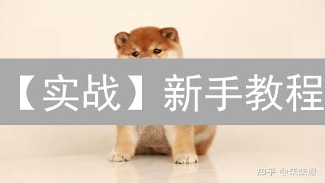 【实战】新手教程：3分钟学会如何在MEXC交易所购买柴犬币(SHIB)？