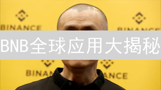 BNB全球应用大揭秘：哪个国家最爱币安币？