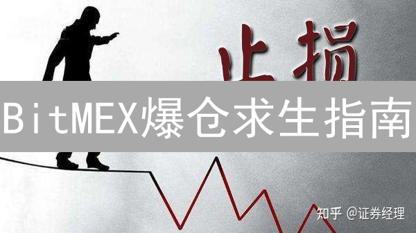 BitMEX爆仓求生指南：高杠杆交易如何稳赚不赔？【2024最新】