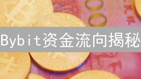 Bybit资金流向揭秘：掌握市场脉搏，交易胜率飙升？