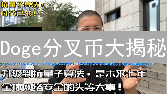 Doge分叉币大揭秘：谁能超越狗狗币？🔥