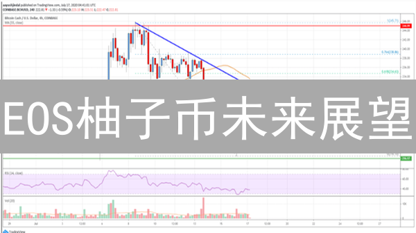 EOS柚子币未来展望：技术创新能否突围重围？