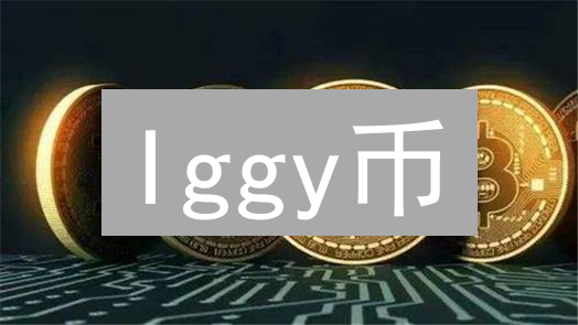 Iggy币/PiggyPiggy币投资指南：2024年如何快速了解并评估其价值？
