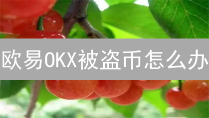 欧易OKX被盗币怎么办？掌握这些技巧，挽回损失并非不可能！