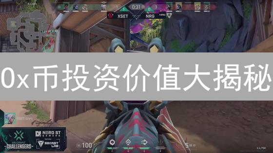 Ox币投资价值大揭秘：技术、市场、团队全方位深度解析！