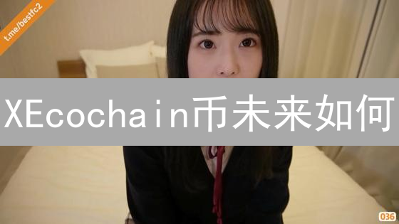 XEcochain币未来如何？币安影响大吗？2024投资潜力分析！